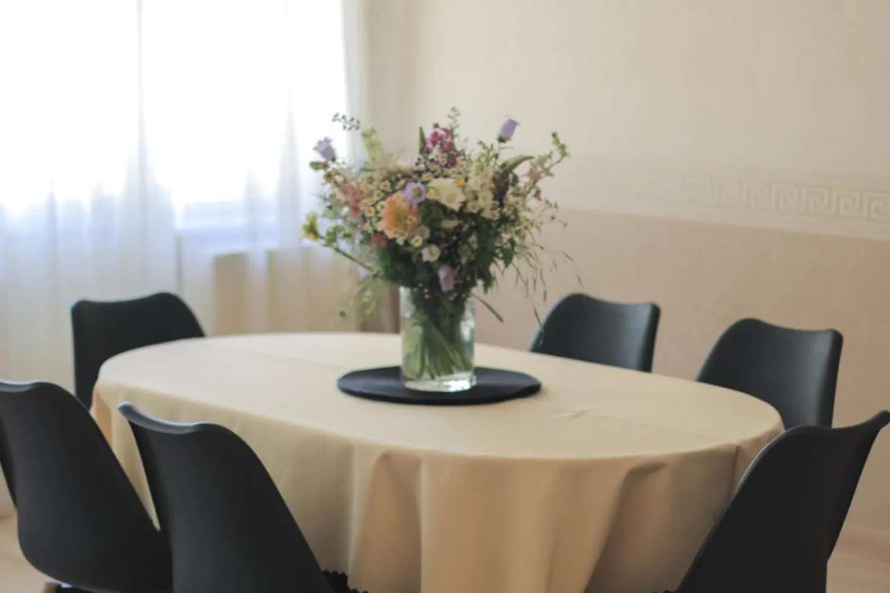 Riverside Apartments Thalia 카를로비바리